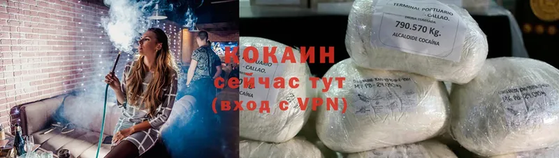 Cocaine 99%  mega сайт  Нерчинск 